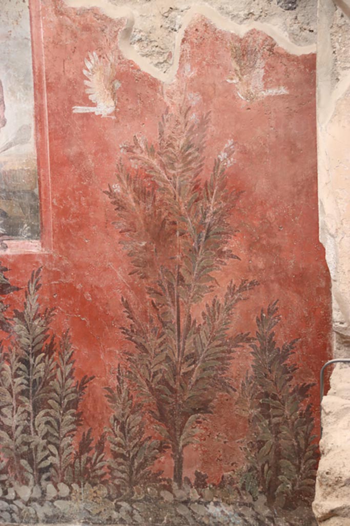 I.6.15 Pompeii. October 2023.
Room 9, detail of plant paintings on south side of window in east wall of small garden.
Photo courtesy of Klaus Heese.