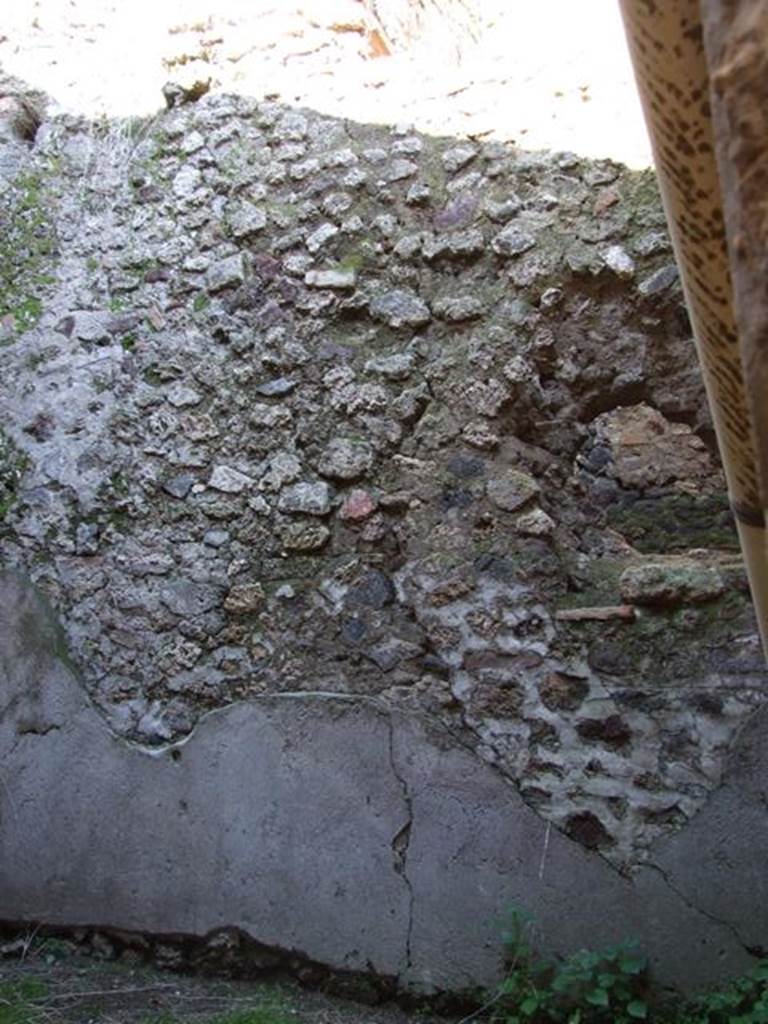 I.6.15 Pompeii. March 2009. Room 10, East wall.