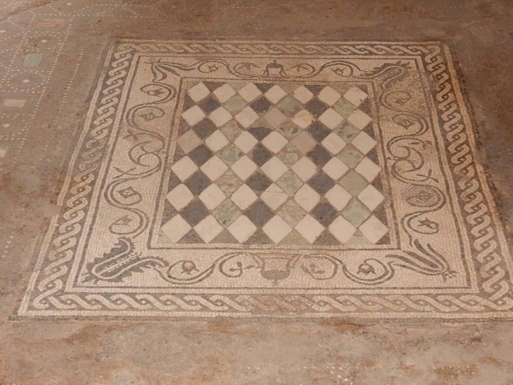 I.6.15 Pompeii. June 2019. Room 6, looking south across mosaic emblema ...