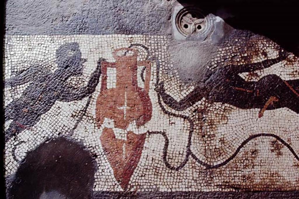 I.6.16 Pompeii, 1968. West side of mosaic floor of calidarium. Photo by Stanley A. Jashemski.
Source: The Wilhelmina and Stanley A. Jashemski archive in the University of Maryland Library, Special Collections (See collection page) and made available under the Creative Commons Attribution-Non-Commercial License v.4. See Licence and use details.
J68f0627

