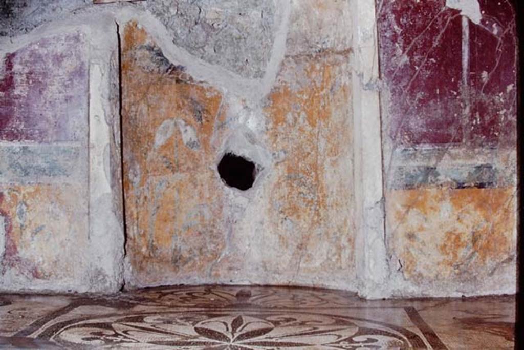 I.6.16 Pompeii, 1968.  Centre of north wall.  Photo by Stanley A. Jashemski.
Source: The Wilhelmina and Stanley A. Jashemski archive in the University of Maryland Library, Special Collections (See collection page) and made available under the Creative Commons Attribution-Non Commercial License v.4. See Licence and use details.
J68f0619
