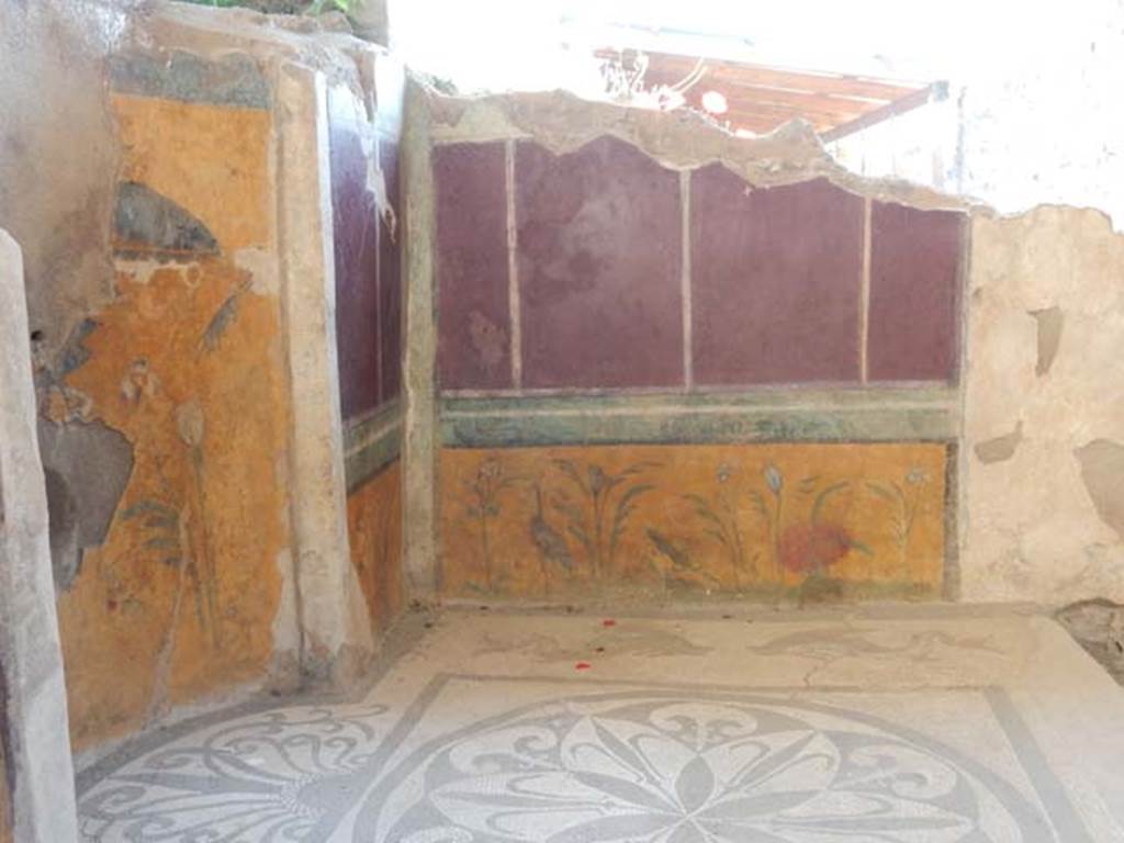I.6.16 Pompeii. May 2016. Looking towards the north-east corner and east wall. 
The bases of the walls were decorated with aquatic plants against a yellow background. Photo courtesy of Buzz Ferebee.
