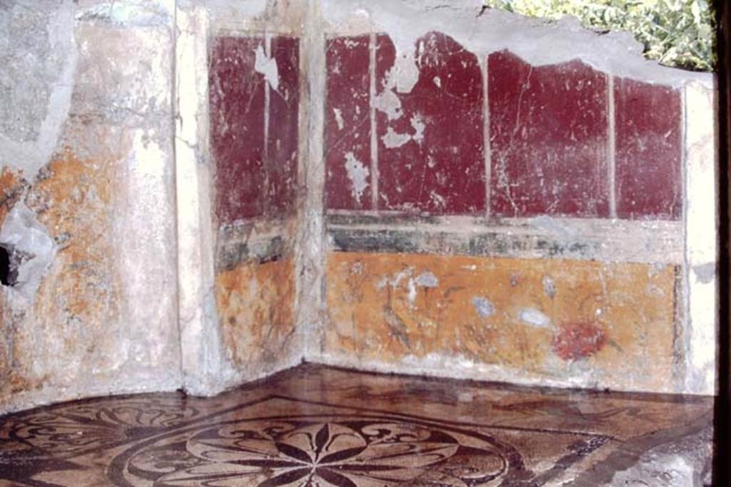 I.6.16 Pompeii, 1968. Looking towards north-east corner.  Photo by Stanley A. Jashemski.
Source: The Wilhelmina and Stanley A. Jashemski archive in the University of Maryland Library, Special Collections (See collection page) and made available under the Creative Commons Attribution-Non Commercial License v.4. See Licence and use details.
J68f0616
