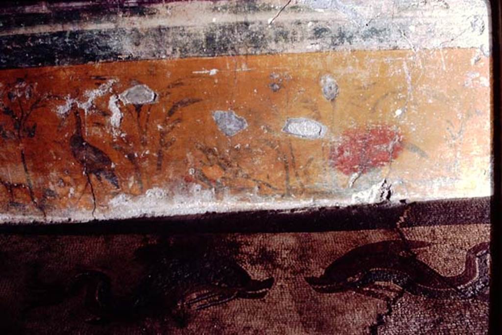 I.6.16 Pompeii, 1968. Detail from east wall in north-east corner.  Photo by Stanley A. Jashemski.
Source: The Wilhelmina and Stanley A. Jashemski archive in the University of Maryland Library, Special Collections (See collection page) and made available under the Creative Commons Attribution-Non Commercial License v.4. See Licence and use details.
J68f0615
