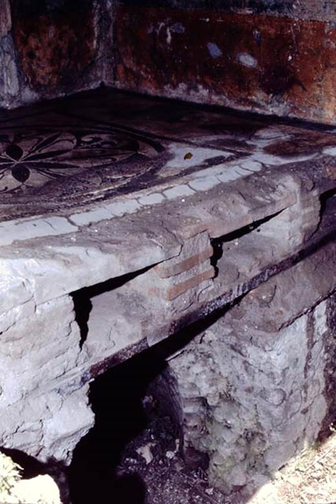 I.6.16 Pompeii, 1968. Mosaic floor and hypocaust in baths area. Photo by Stanley A. Jashemski.
Source: The Wilhelmina and Stanley A. Jashemski archive in the University of Maryland Library, Special Collections (See collection page) and made available under the Creative Commons Attribution-Non Commercial License v.4. See Licence and use details.
J68f0630
