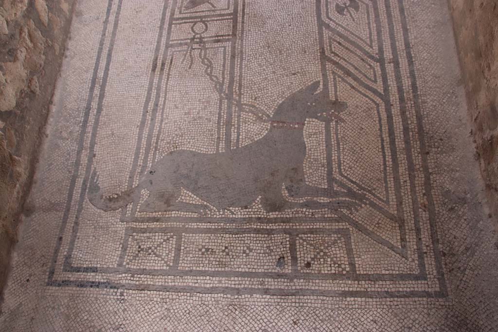 I.7.1 Pompeii. September 2021. Entrance mosaic of guard dog. Photo courtesy of Klaus Heese.