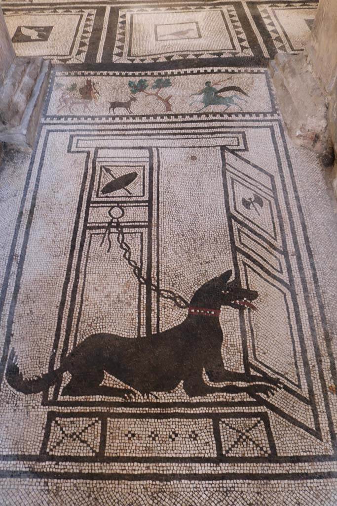 I.7.1 Pompeii. December 2018. 
Mosaic of guard dog set into floor of entrance corridor/fauces. Photo courtesy of Aude Durand.
