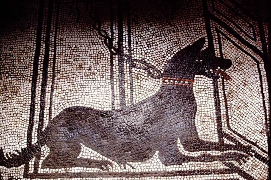 I.7.1 Pompeii, 1978. Entrance mosaic of a guard dog. Photo by Stanley A. Jashemski.
Source: The Wilhelmina and Stanley A. Jashemski archive in the University of Maryland Library, Special Collections (See collection page) and made available under the Creative Commons Attribution-Non Commercial License v.4. See Licence and use details. J78f0633