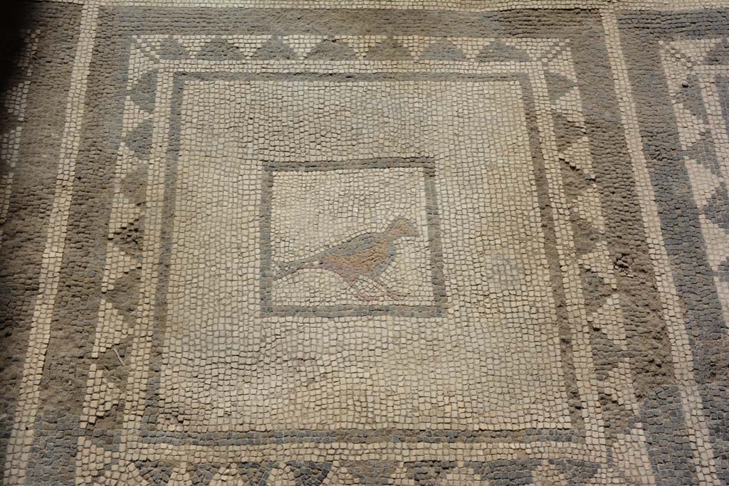 I.7.1 Pompeii. October 2019. Detail of mosaic bird from floor in atrium.
Foto Annette Haug, ERC Grant 681269 DCOR.
