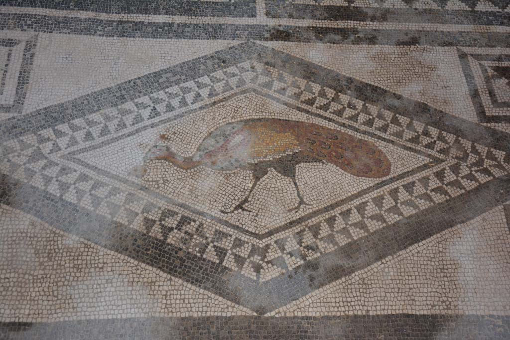 I.7.1 Pompeii. October 2019. Detail of mosaic bird from centre of south end of mosaic in atrium.
Foto Annette Haug, ERC Grant 681269 DÉCOR.