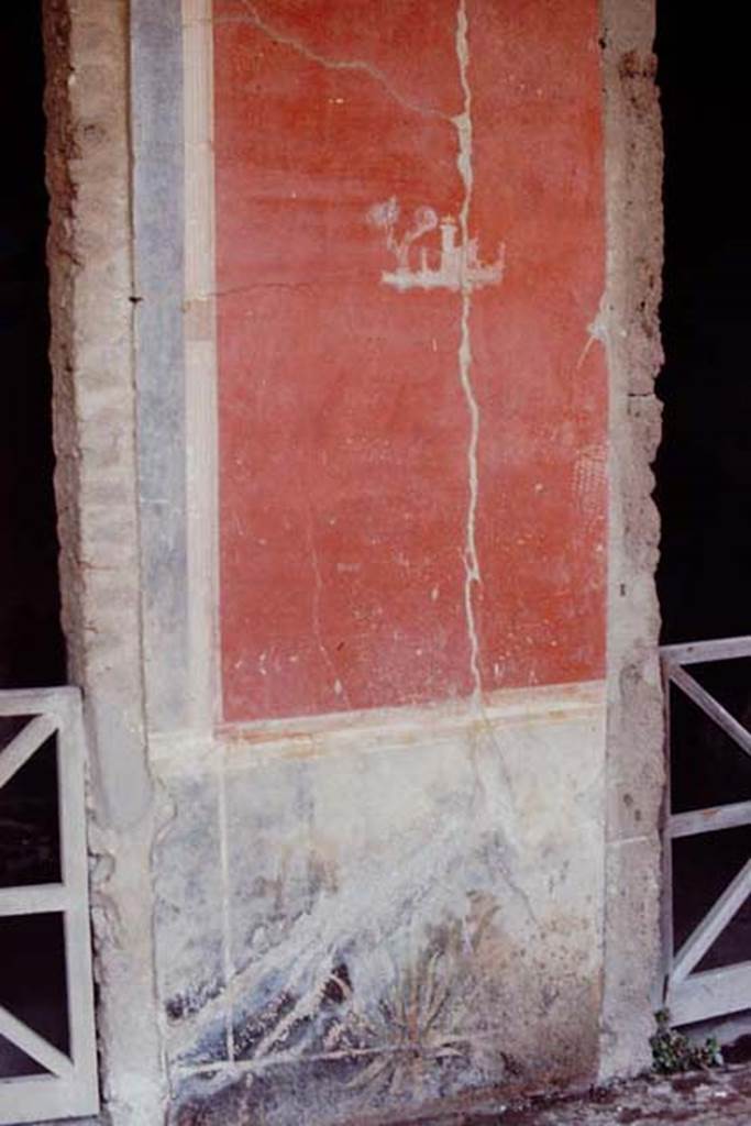 I.7.1 Pompeii, 1968. Painted wall between oecus and small room on north wall.
Black painted zoccolo between two doorways on north portico, with landscape painting in red panel. Photo by Stanley A. Jashemski.
Source: The Wilhelmina and Stanley A. Jashemski archive in the University of Maryland Library, Special Collections (See collection page) and made available under the Creative Commons Attribution-Non Commercial License v.4. See Licence and use details.
J68f0444

