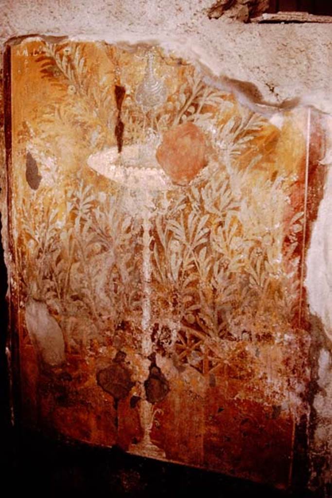 I.7.3 Pompeii. 1964. Garden painting. Photo by Stanley A. Jashemski.
Source: The Wilhelmina and Stanley A. Jashemski archive in the University of Maryland Library, Special Collections (See collection page) and made available under the Creative Commons Attribution-Non Commercial License v.4. See Licence and use details.
J64f1957