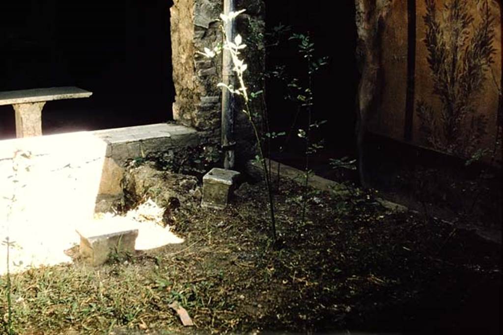 I.7.3 Pompeii. 1959. Looking north-east across garden area towards window to atrium, and corridor to rear rooms. Photo by Stanley A. Jashemski.
Source: The Wilhelmina and Stanley A. Jashemski archive in the University of Maryland Library, Special Collections (See collection page) and made available under the Creative Commons Attribution-Non Commercial License v.4. See Licence and use details.
J59f0552