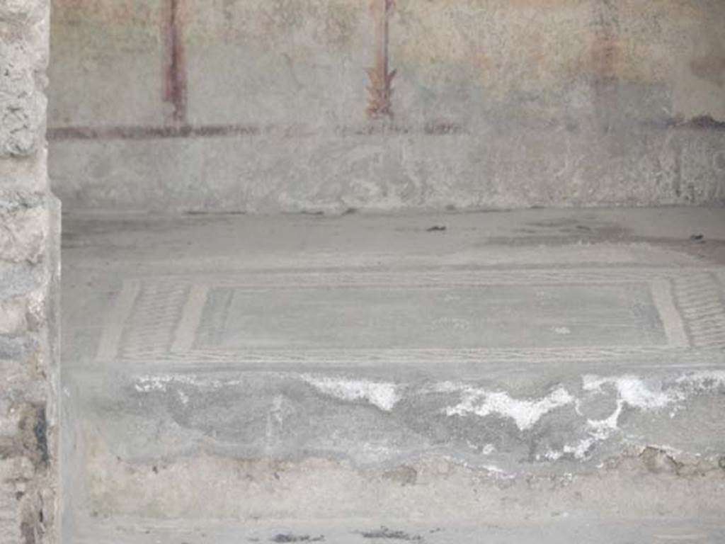 I.7.3 Pompeii. May 2016. Floor of room on south side of garden area, emblema surrounded by a border of black and white mosaic. Photo courtesy of Buzz Ferebee.