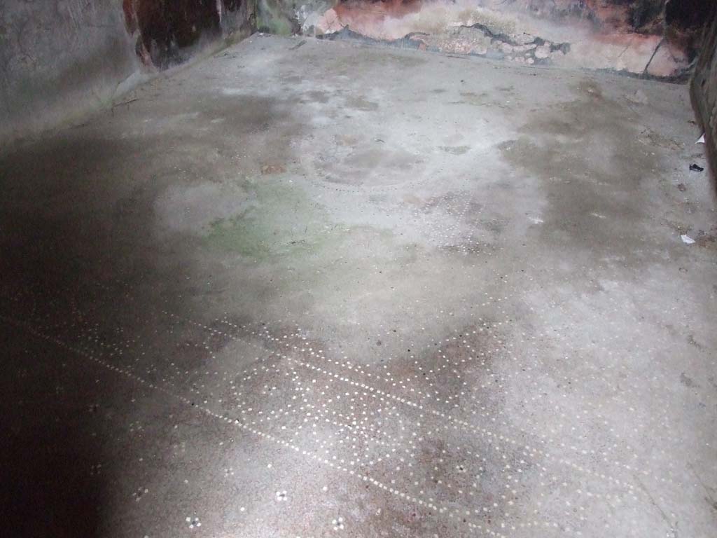 I.7.7 Pompeii. December 2006. Mosaic floor in triclinium, looking north-west.   