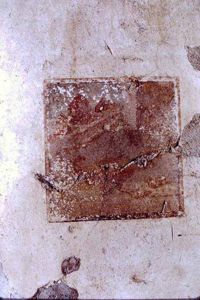 I.7.10 Pompeii, 1968. North wall of fauces at west end, still life painting with fruit.
Photo by Stanley A. Jashemski.
Source: The Wilhelmina and Stanley A. Jashemski archive in the University of Maryland Library, Special Collections (See collection page) and made available under the Creative Commons Attribution-Non-Commercial License v.4. See Licence and use details.
J68f0406
