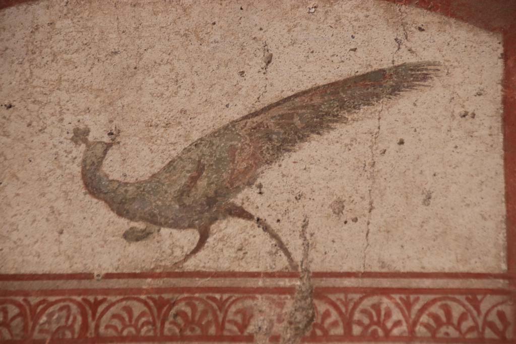 I.7.11 Pompeii. September 2021. Detail of painted peacock/bird from upper south wall. Photo courtesy of Klaus Heese.