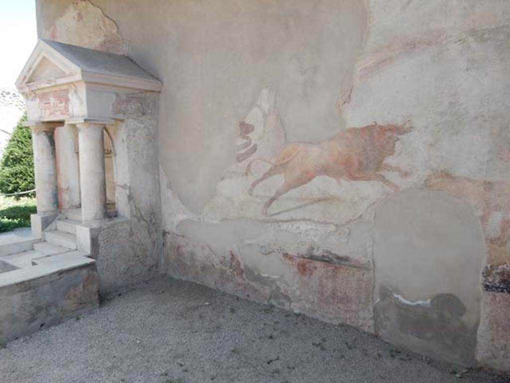 I.7.12 Pompeii. December 2006. Detail of wall painting of animal scene in south-west corner of garden.
The bull is still visible, followed by a bear (on the left), fleeing in a westerly direction where a lion waits. 
