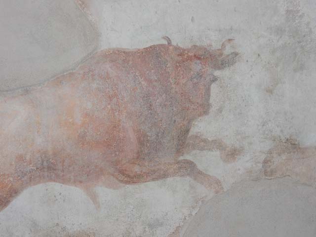 I.7.12 Pompeii. May 2017. South wall in south-west corner with painting of waiting lion. Photo courtesy of Buzz Ferebee.
