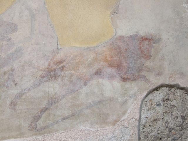 I.7.12 Pompeii. May 2017. Detail of lion in south-west corner. Photo courtesy of Buzz Ferebee.
