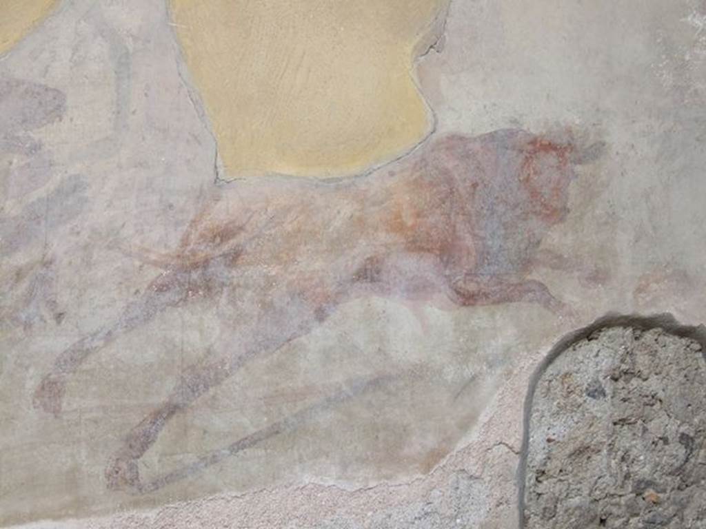 I.7.12 Pompeii. September 2021. 
South wall and south-west corner with painting of bull in hunting scene, and naked armed warrior.
Photo courtesy of Klaus Heese.
