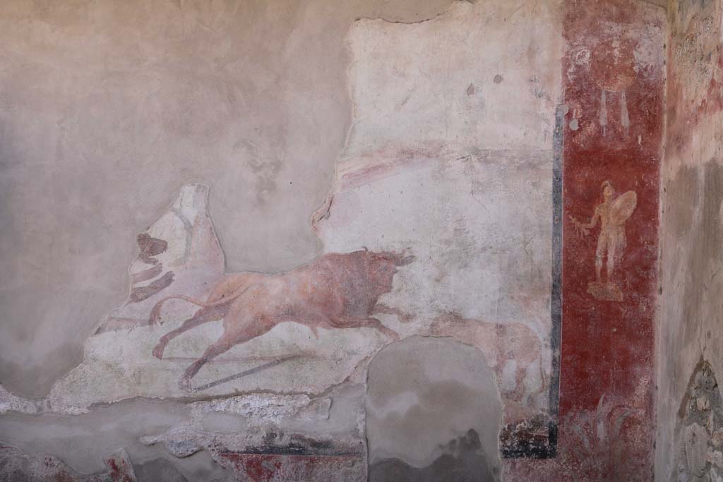 I.7.12 Pompeii. December 2006. 
South-west corner of garden with wall painting of animal scene, on west side of nymphaeum.
On the south wall, below the feet of the lion, the location of a tunnel can be seen (now blocked), dug by the ancient searchers. 

