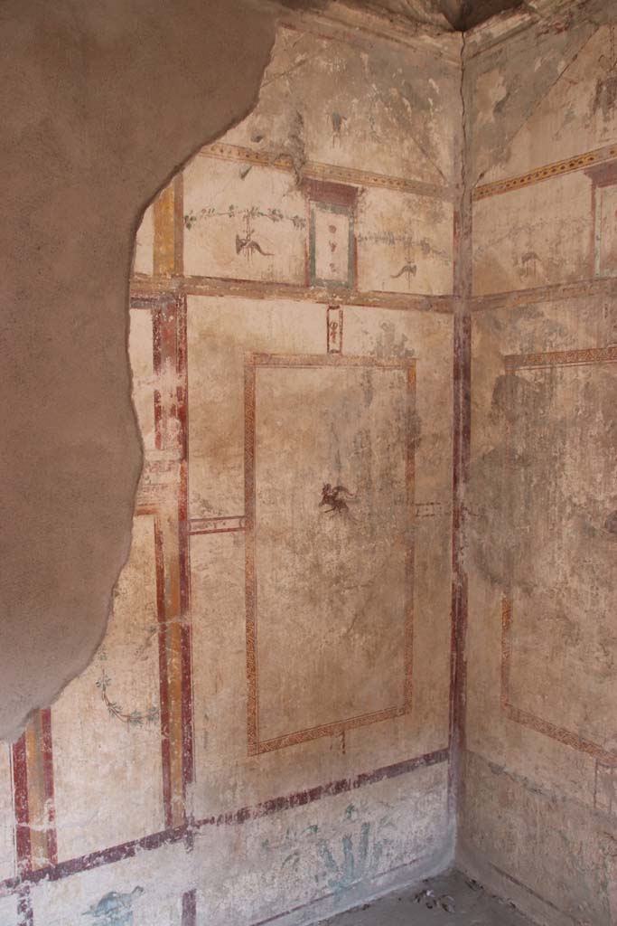 I.7.12 Pompeii. September 2021. 
East wall of cubiculum in south-east corner. Photo courtesy of Klaus Heese.
