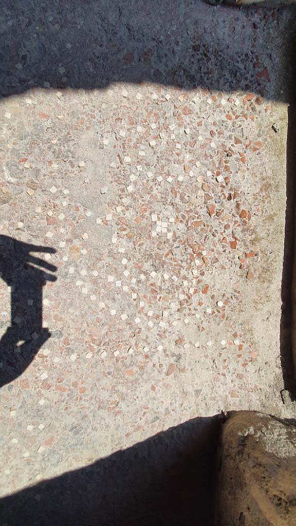 I.8.9 Pompeii. July 2021. Rom 3, flooring near doorway from room 2.
Foto Annette Haug, ERC Grant 681269 DÉCOR.

