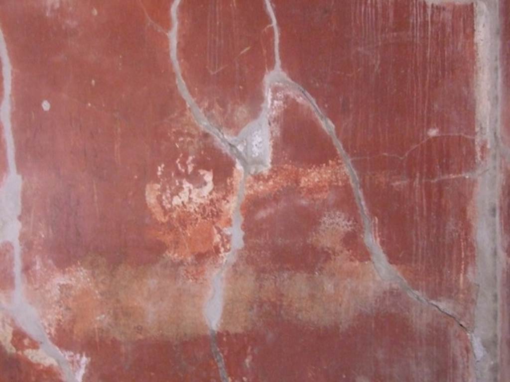I.8.9 Pompeii. March 2009. Room 3, detail from north wall near north-east corner.