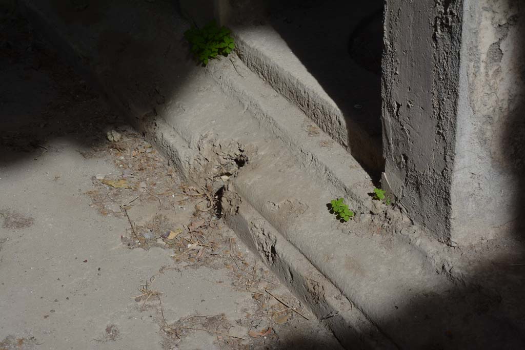 I.8.17 Pompeii. March 2019.  Detail of impluvium in centre of east side.
Foto Annette Haug, ERC Grant 681269 DÉCOR.

