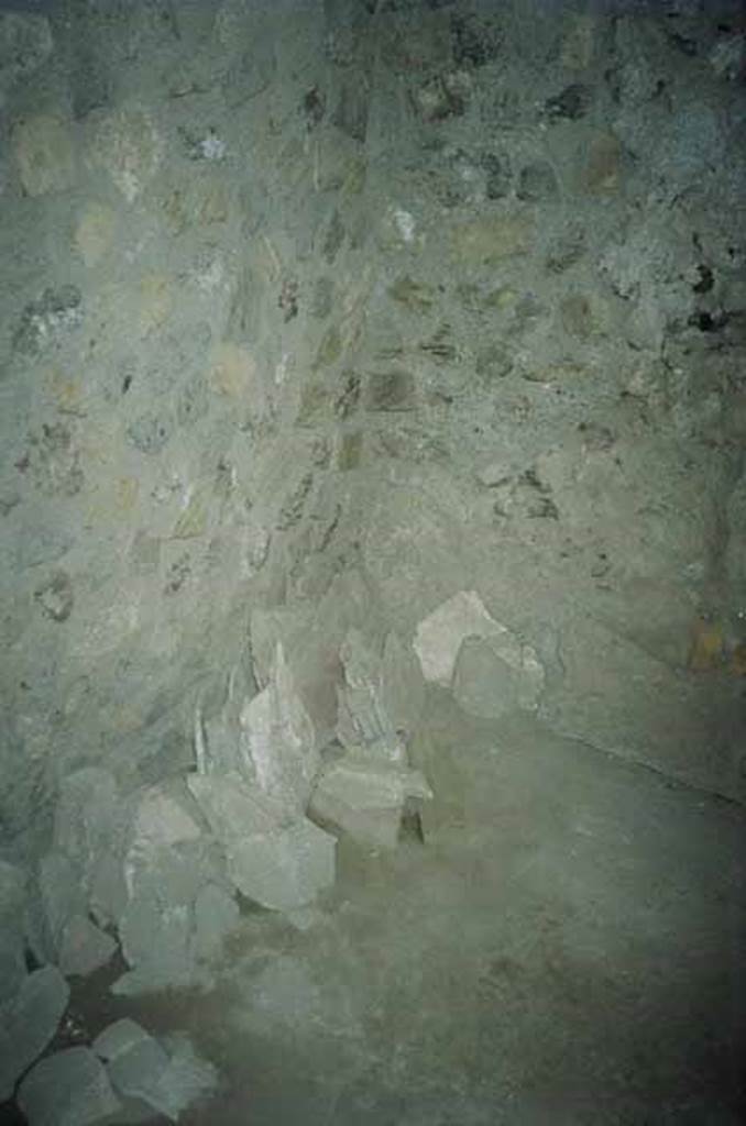 I.8.17 Pompeii. June 2010. 
Room 8, looking towards south-east corner. Photo courtesy of Rick Bauer.


