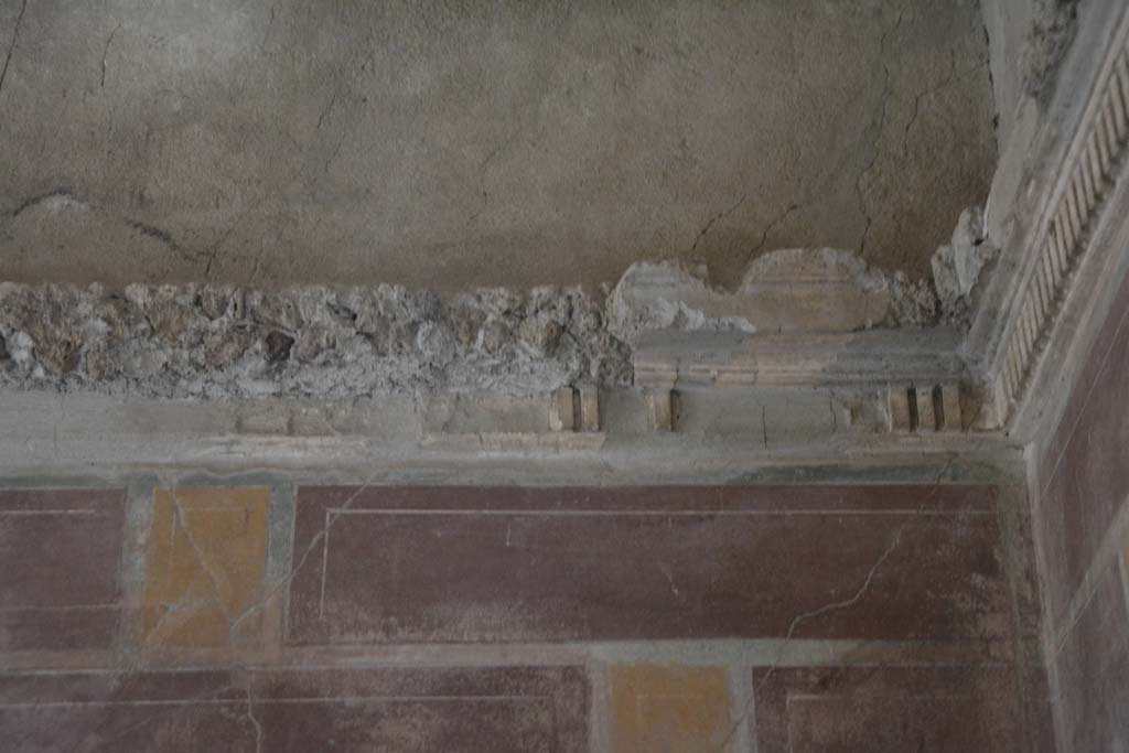 I.8.17 Pompeii. March 2019. Room 12, upper west wall in north-west corner, detail of stucco cornice.
Foto Annette Haug, ERC Grant 681269 DCOR.

