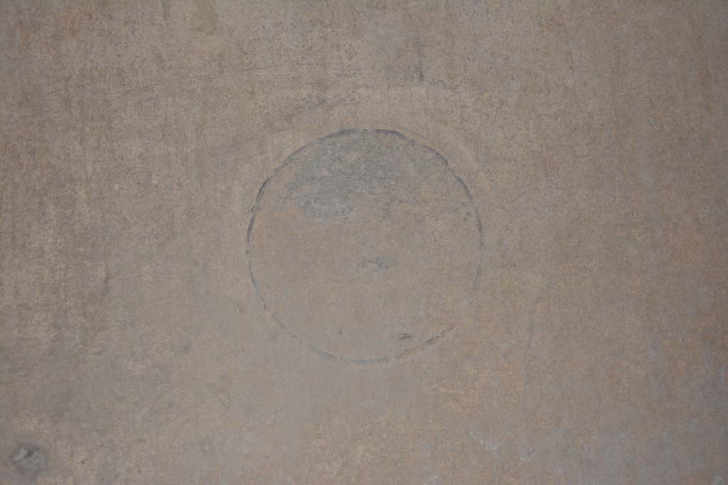 I.8.17 Pompeii. March 2019. Room 14, detail of painted medallion from north end of west wall.
Foto Annette Haug, ERC Grant 681269 DÉCOR.