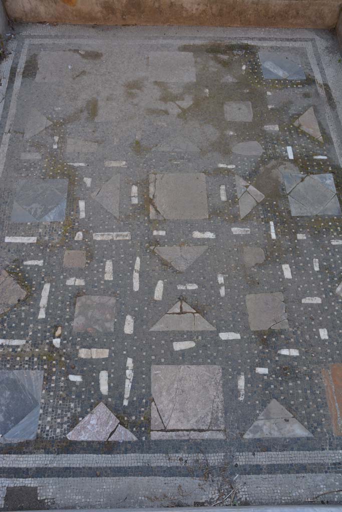 I.9.1 Pompeii. October 2019. Room 2, detail of floor of impluvium.
Foto Annette Haug, ERC Grant 681269 DCOR.
The impluviums background was of black mosaic with dots of white tesserae, tiles and flakes of polychrome marble, the walls and inner edge were of white marble with a rounded edge-strip. 

