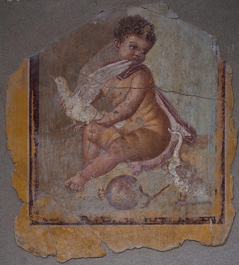 I.9.3 Pompeii. January 2024.
Room 10, painting of the boy Adonis/Successus(?), from centre of north wall. PAP inventory number 41661.
Photo courtesy of Johannes Eber.