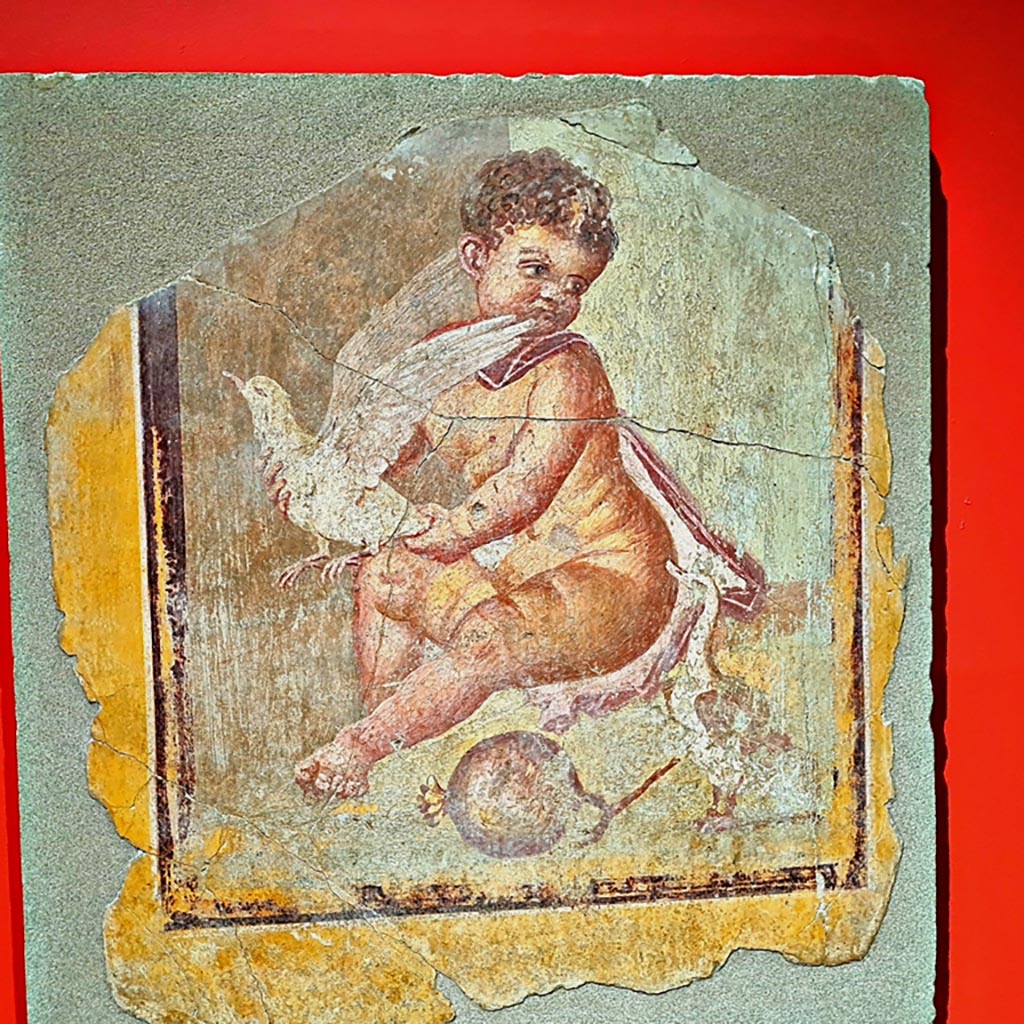 I.9.3 Pompeii. March 2024.
Room 10, centre of north wall, Adonis as a child, fresco, 1st century AD. (Adone bambino. Affresco, I sec. d.C.)
On display in exhibition “L’altra Pompei, vite comuni all’ombra del Vesuvio”.
Photo courtesy of Giuseppe Ciaramella.