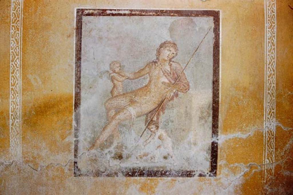 I.9.3 Pompeii. 1959. Room 10, central painting of Adone Ferito, from east wall. Photo by Stanley A. Jashemski.
Source: The Wilhelmina and Stanley A. Jashemski archive in the University of Maryland Library, Special Collections (See collection page) and made available under the Creative Commons Attribution-Non Commercial License v.4. See Licence and use details.
J59f0480