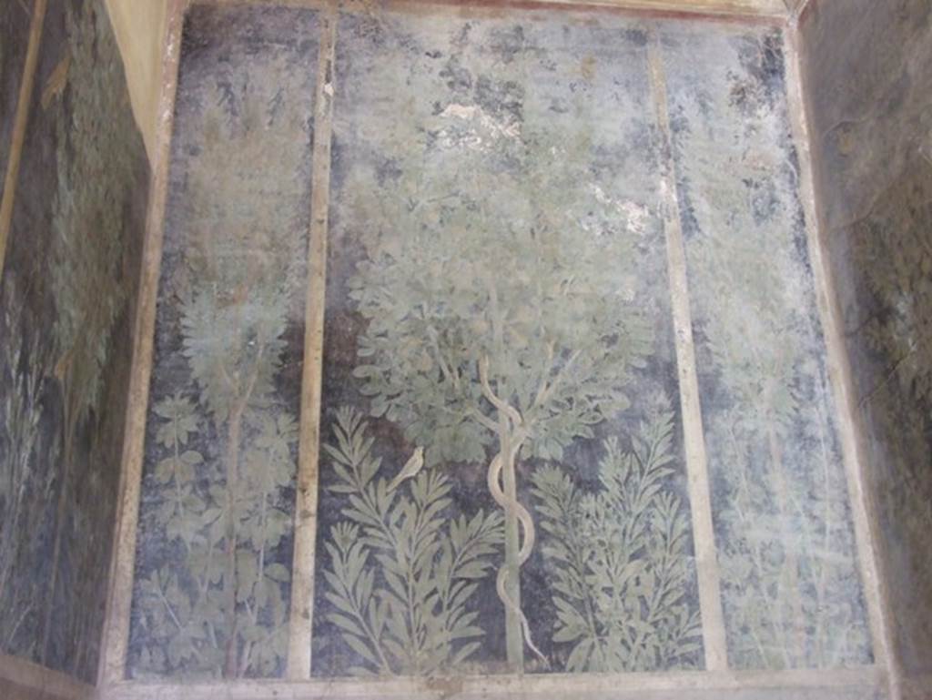 I.9.5 Pompeii. March 2009. Room 11.Cubiculum. East wall.  Painting of a snake in a fig tree with birds.