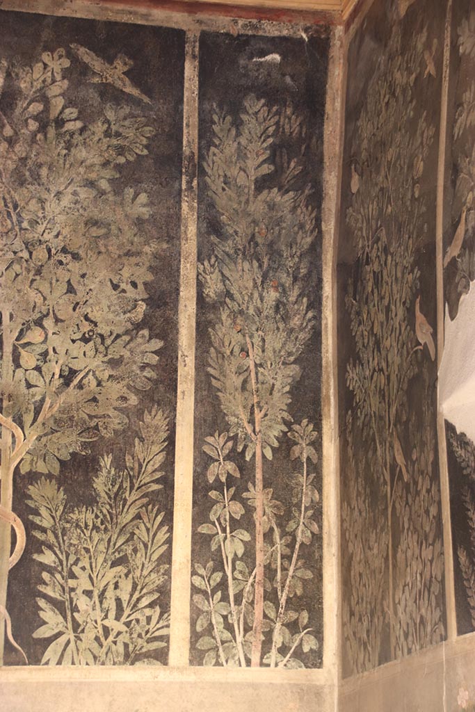 I.9.5 Pompeii. October 2024. Room 11, detail from south-east corner. Photo courtesy of Klaus Heese