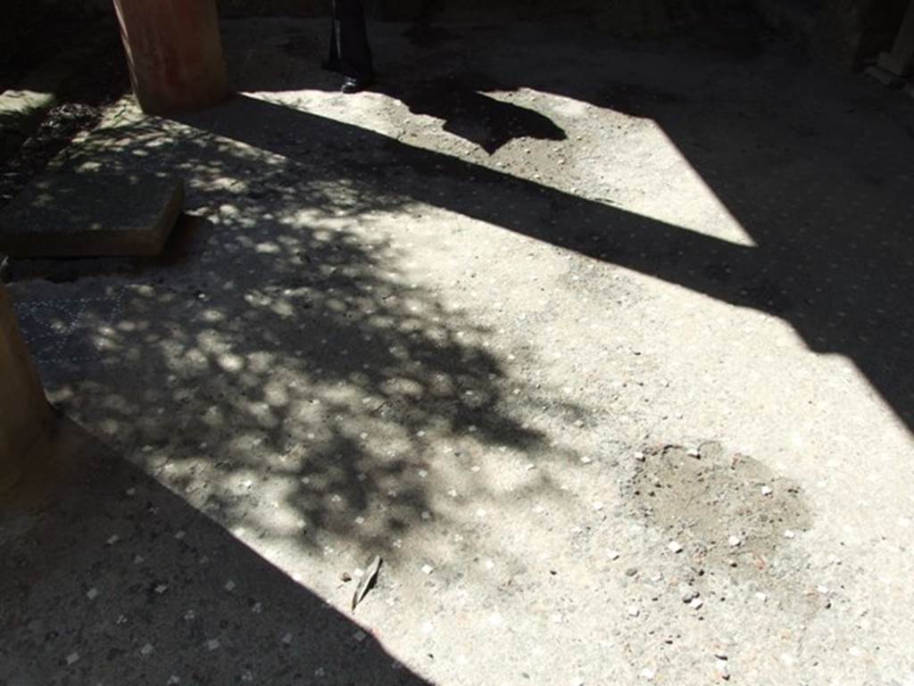 I.9.5 Pompeii. March 2009. Room 12. Mosaic floor of portico.