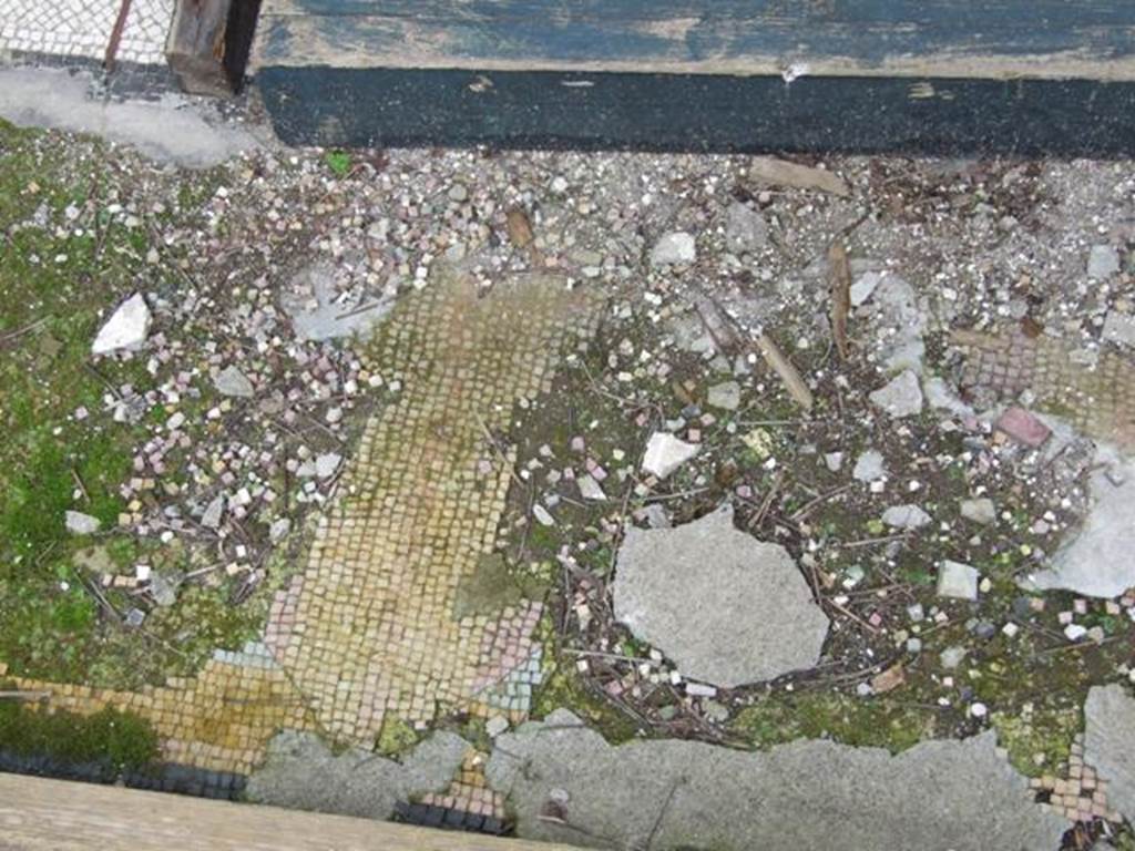 I.9.14 Pompeii. March 2009. Room 6. Tablinum. Mosaic floor.