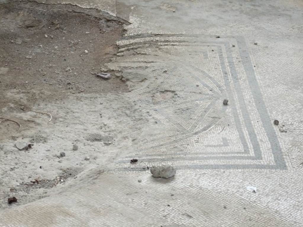 I.9.14 Pompeii. March 2009. Room 6. Tablinum. Mosaic floor.