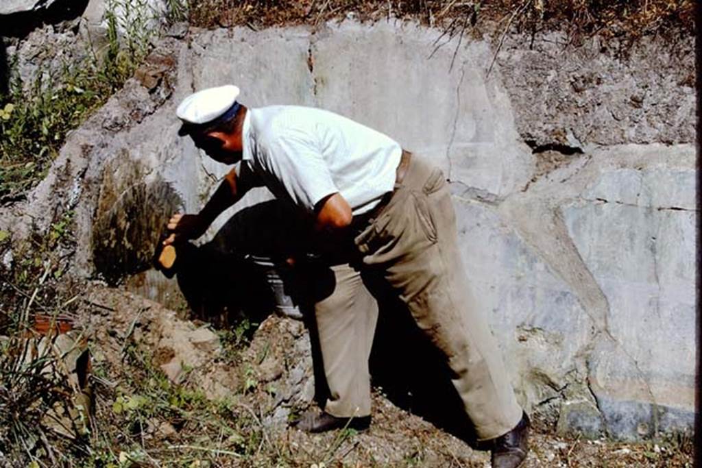 I.9.14 Pompeii. 1968. Room 2, north-west corner of garden wall, fresco being cleaned for photo – now definitely frowned upon. Photo by Stanley A. Jashemski.
Source: The Wilhelmina and Stanley A. Jashemski archive in the University of Maryland Library, Special Collections (See collection page) and made available under the Creative Commons Attribution-Non Commercial License v.4. See Licence and use details.
J68f1416