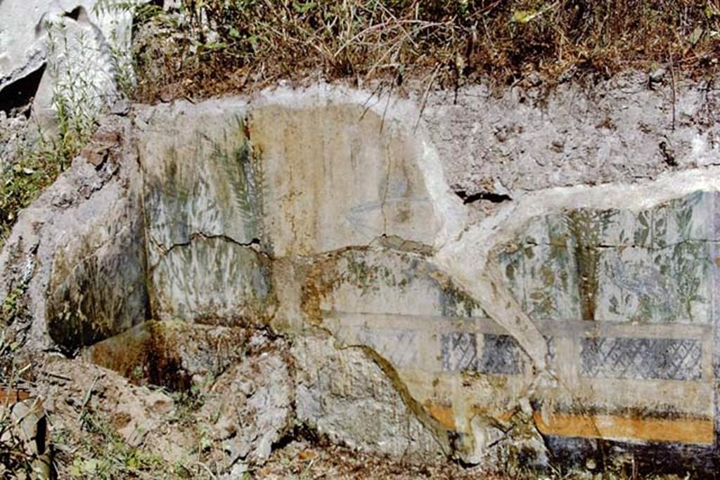 I.9.14 Pompeii. 1968. Room 2, detail of garden painting from north-west corner of garden wall. Photo by Stanley A. Jashemski.
Source: The Wilhelmina and Stanley A. Jashemski archive in the University of Maryland Library, Special Collections (See collection page) and made available under the Creative Commons Attribution-Non Commercial License v.4. See Licence and use details.
J68f1418
