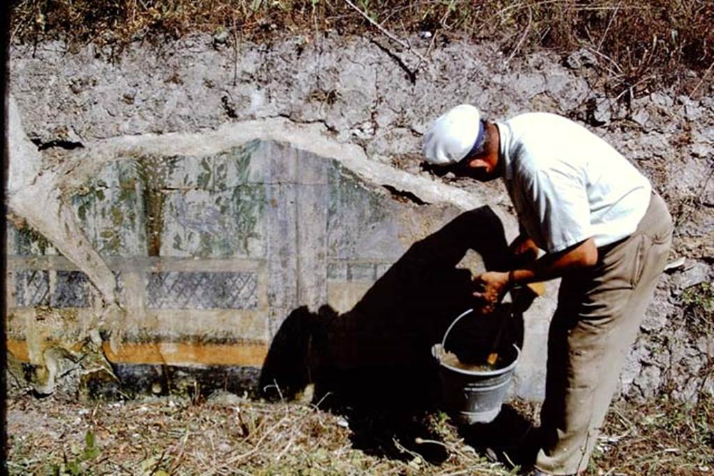 I.9.14 Pompeii. 1968. Room 2, north garden wall between upper and lower garden. Photo by Stanley A. Jashemski.
Source: The Wilhelmina and Stanley A. Jashemski archive in the University of Maryland Library, Special Collections (See collection page) and made available under the Creative Commons Attribution-Non Commercial License v.4. See Licence and use details.
J68f1417