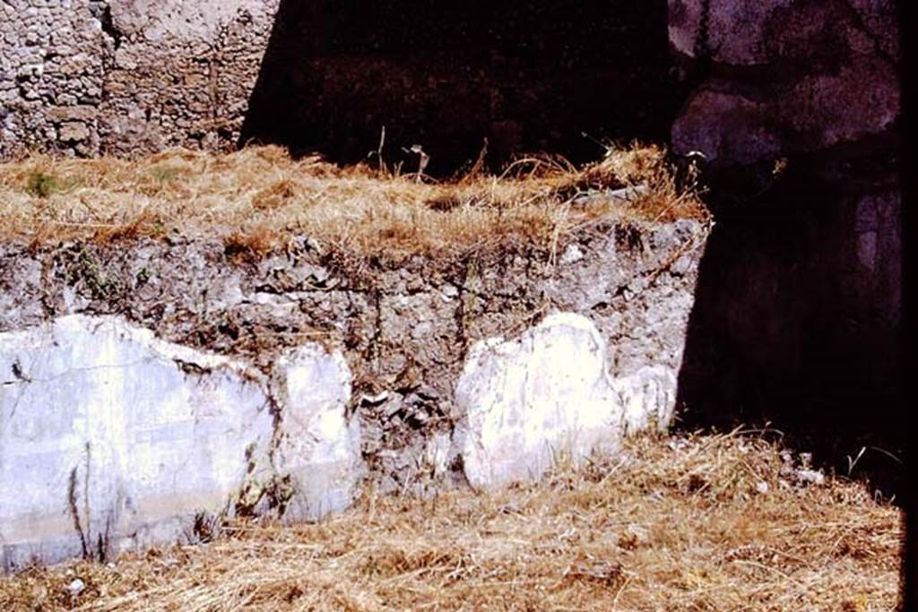 I.9.14 Pompeii. 1972. Room 2, remains of garden painting on north garden wall.
Photo by Stanley A. Jashemski.
Source: The Wilhelmina and Stanley A. Jashemski archive in the University of Maryland Library, Special Collections (See collection page) and made available under the Creative Commons Attribution-Non Commercial License v.4. See Licence and use details. J72f0132