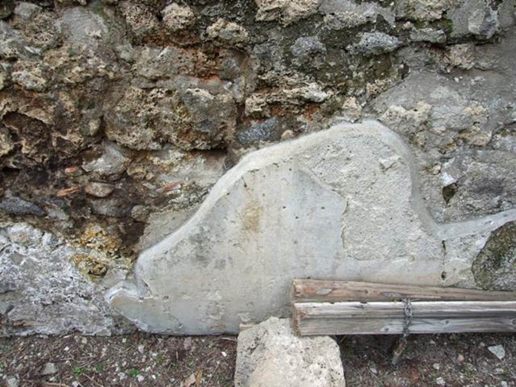 I.9.14 Pompeii. March 2009. Room 2. Remains of garden painting on north garden wall.