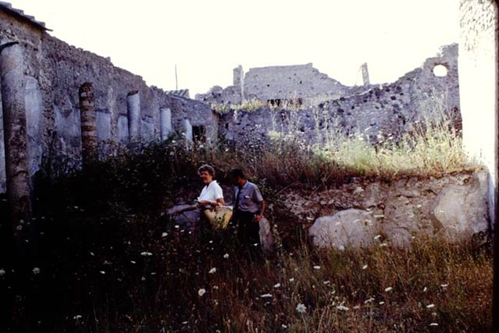 I.9.14 Pompeii. 1966. Looking north from lower area of garden to raised garden with retaining wall originally painted with garden scene. Photo by Stanley A. Jashemski.
Source: The Wilhelmina and Stanley A. Jashemski archive in the University of Maryland Library, Special Collections (See collection page) and made available under the Creative Commons Attribution-Non Commercial License v.4. See Licence and use details.
J66f1041