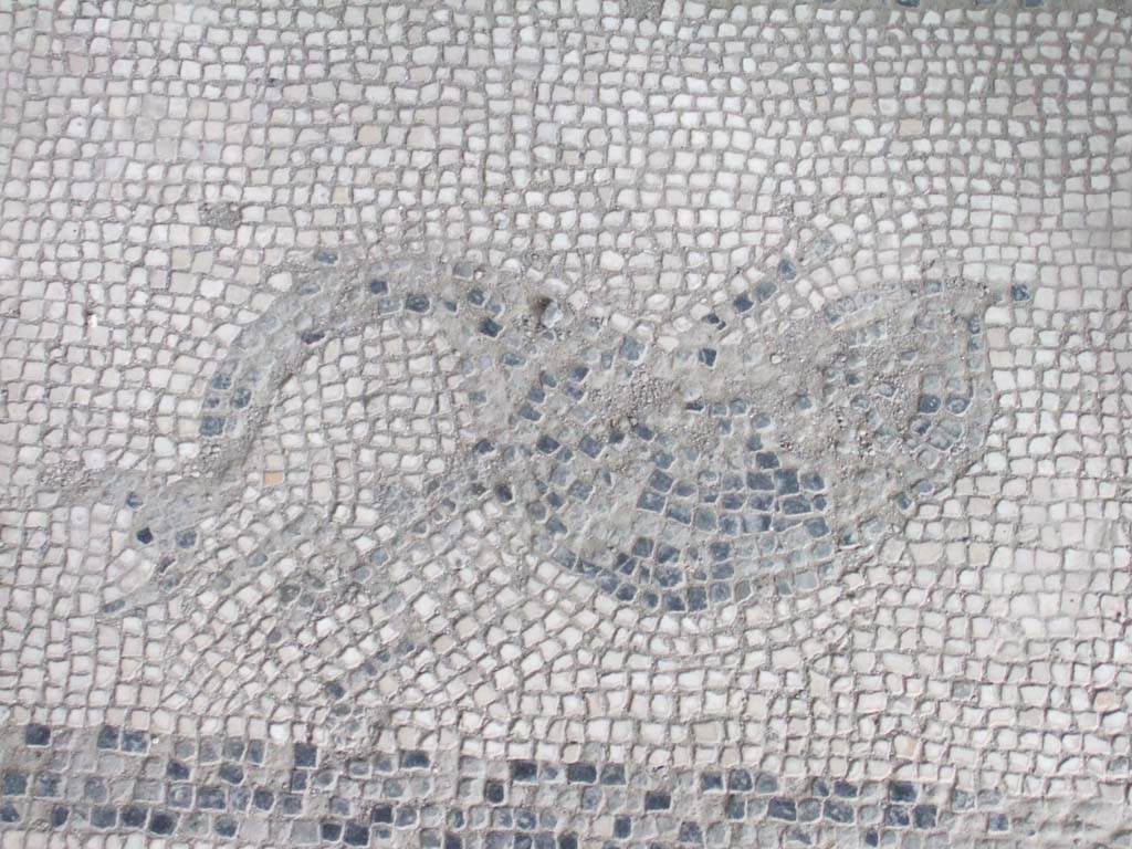 I.10.4 Pompeii. May 2006. Room 46, entrance mosaic of dolphin with trident.