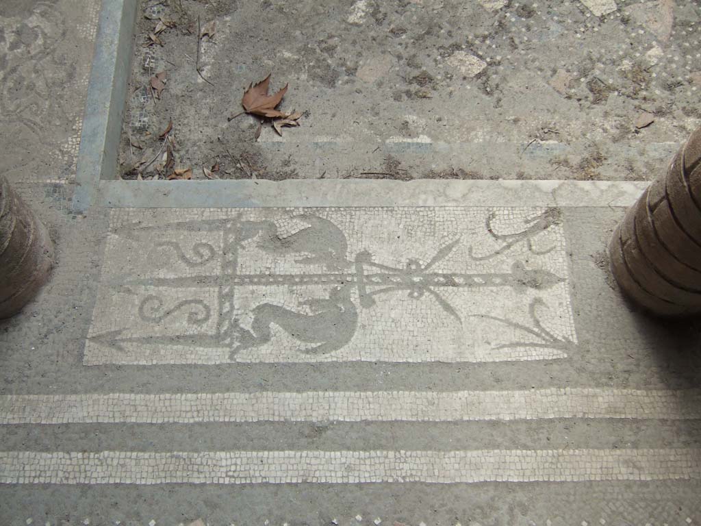 I.10.4 Pompeii. May 2006. Room 46, atrium. Mosaic of two dolphins and a trident.